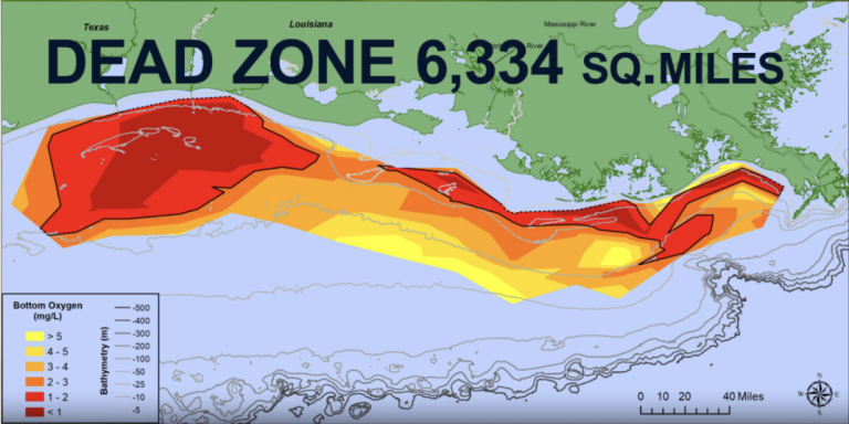 Map showing Gulf of Mexico as a dead zone