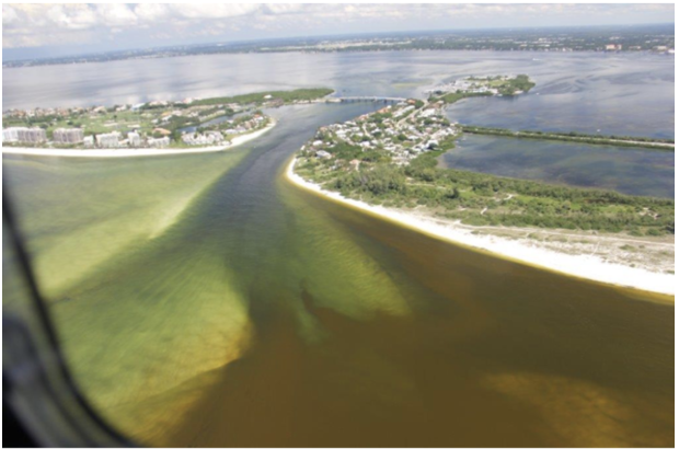 Karenia brevis harmful algal bloom (Habs)