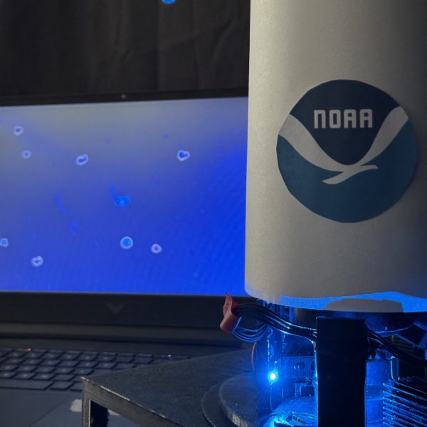 habs detecting device