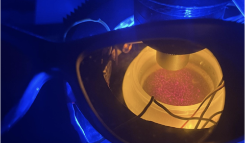 habs detection proof